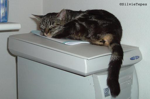 Sleepin' on the scanner