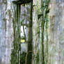 Doorway to the Shanty