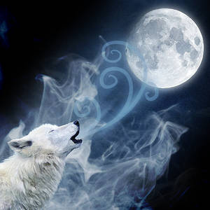 Moon Wolf