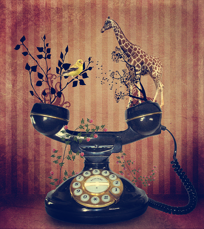 Phone Call