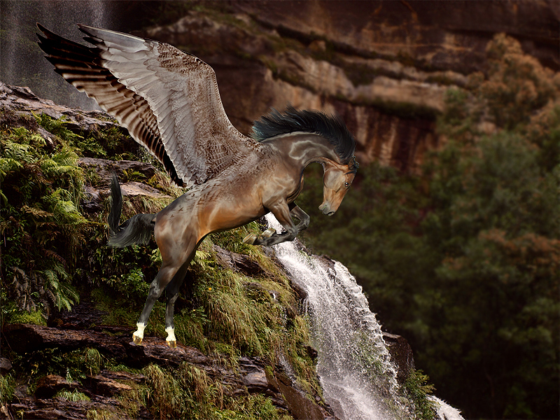 Autumn Flight