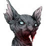 Undead Cat