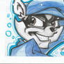 sly cooper