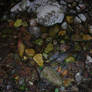 Pebbles in a Stream