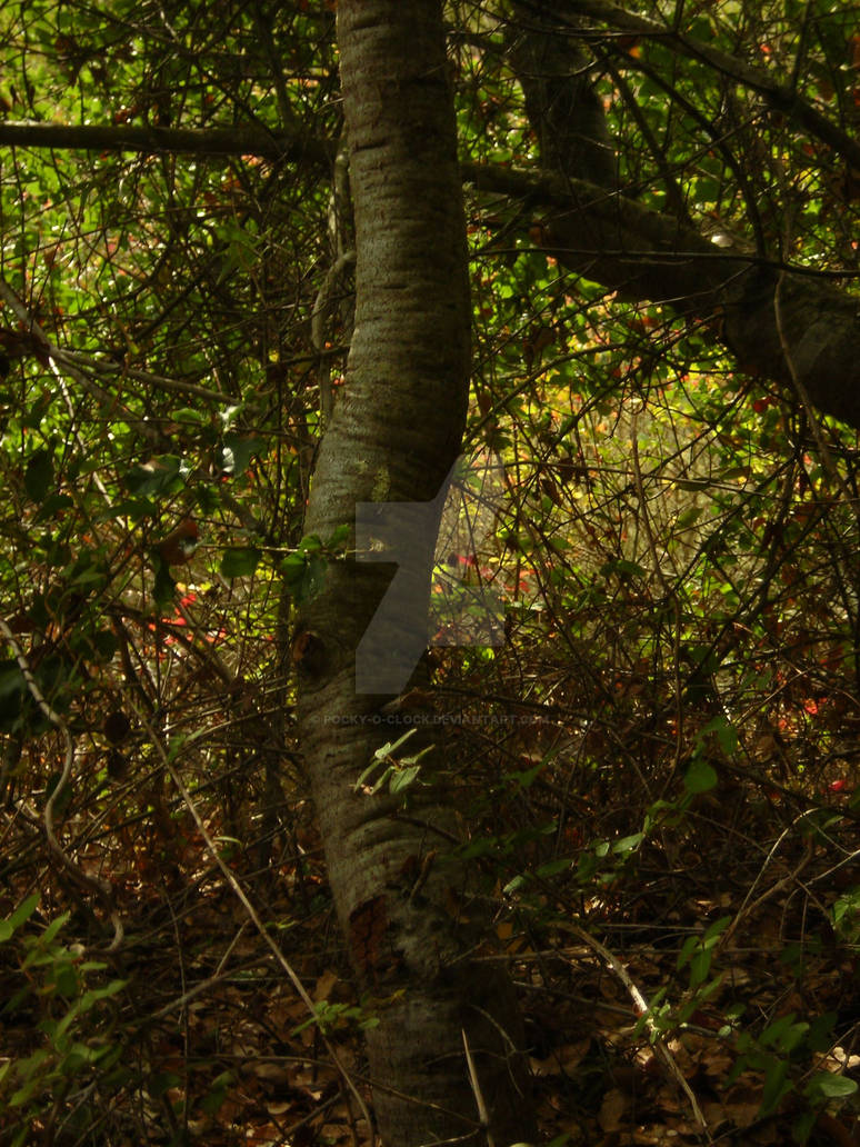 Squiggle Tree Squiggle Tree by Pocky-o-clock on DeviantArt
