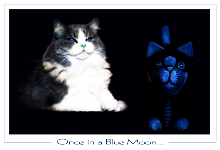 Once in a Blue Moon...