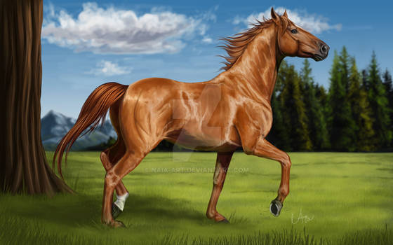 Dream horse