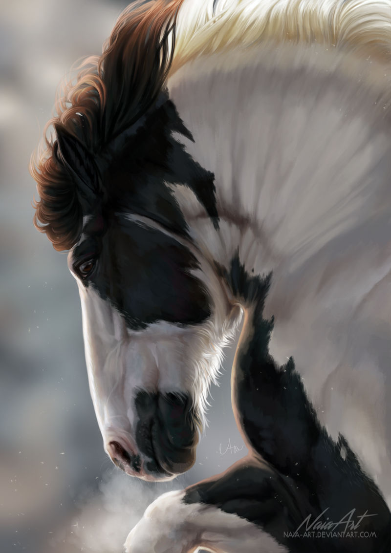 -= Com: Warrior =- by Naia-Art