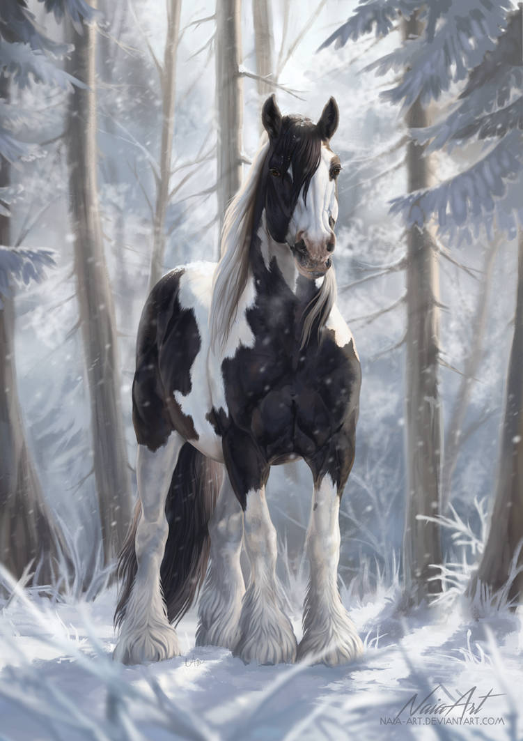 -= Com: Tranquility =- by Naia-Art