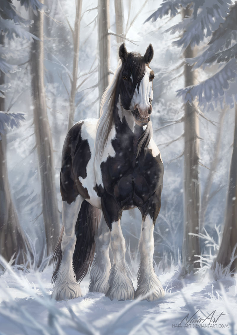 -= Com: Tranquility =- by Naia-Art