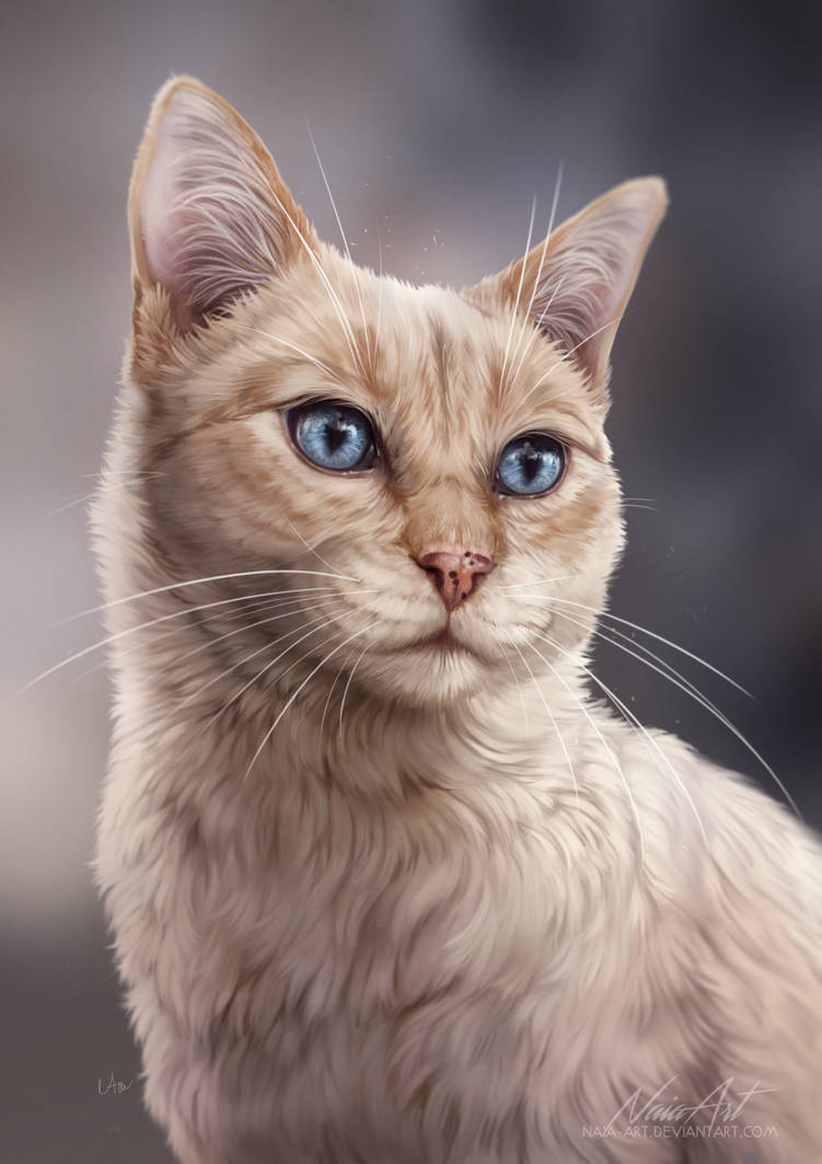 -= Com: Leo =- by Naia-Art