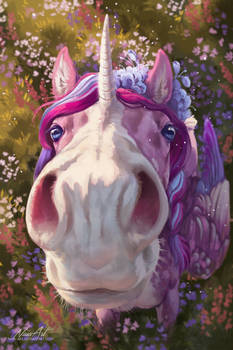 -= Sweety =-