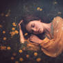 Dreaming Dandelion