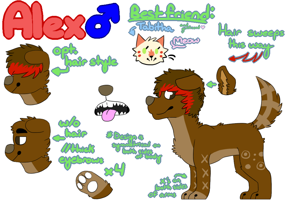 .: Fursona Reference Sheet //Alex// 2013 V.3 :.