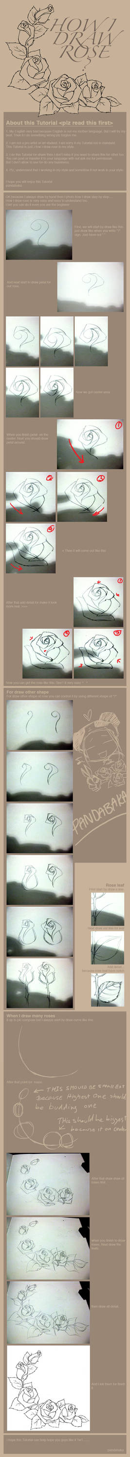How I draw rose? by pandabaka