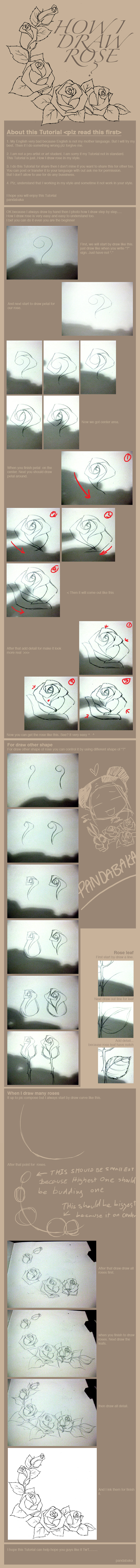 How I draw rose? by pandabaka