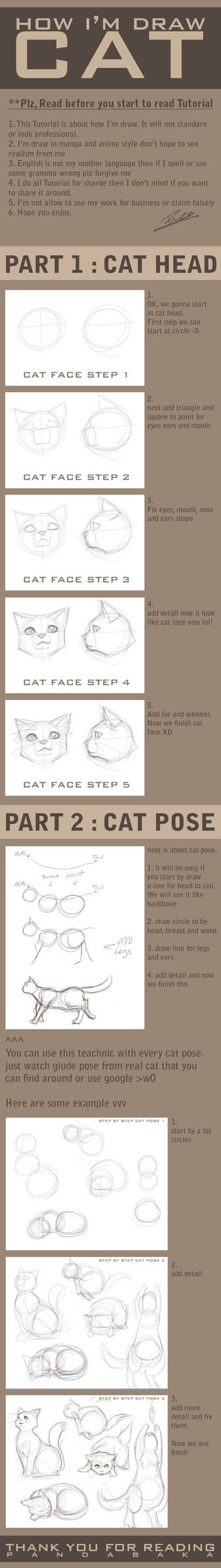 how I am draw cat