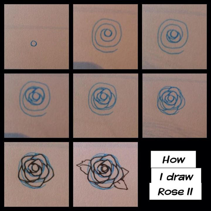 Step How I Draw Rose II By Pandabaka On DeviantArt step-how-i-draw-rose-ii-by-pandabaka-on-deviantart