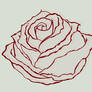 rose