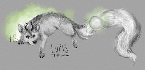 Lupis concept