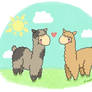 Llama Love