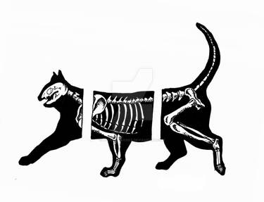 Skelekitty big