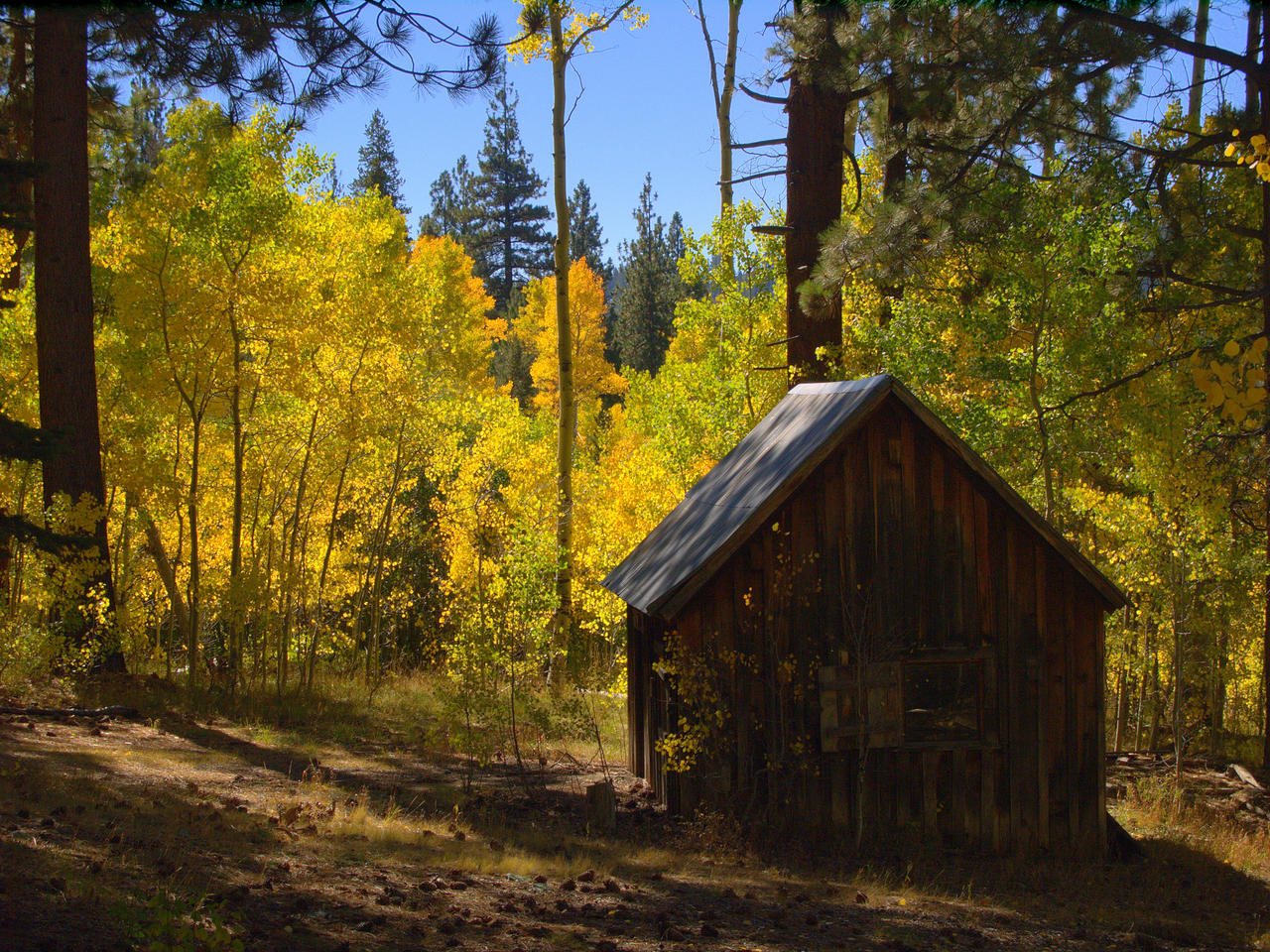 Spencer's Cabin in fall