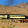 Wild Horses and train 4