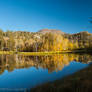 Tamarack Lake