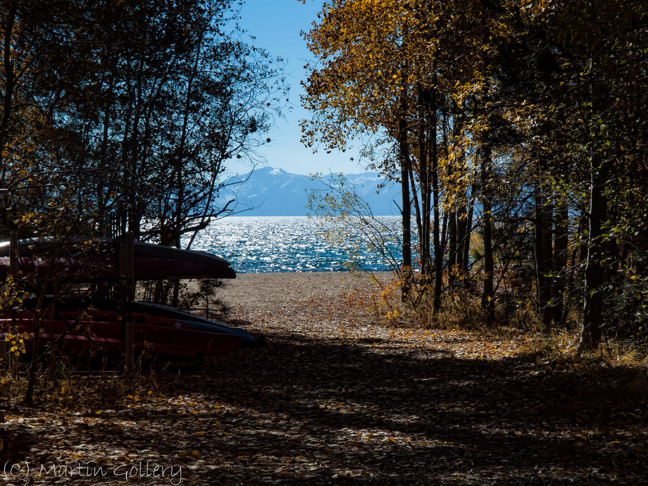 Aspen path by MartinGollery on DeviantArt