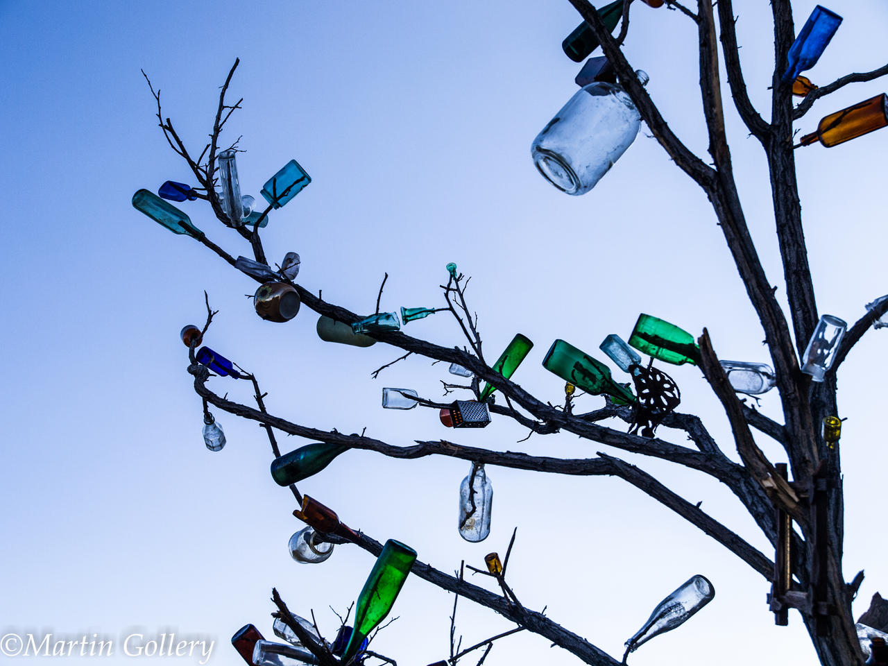 Bottle Tree130728-105