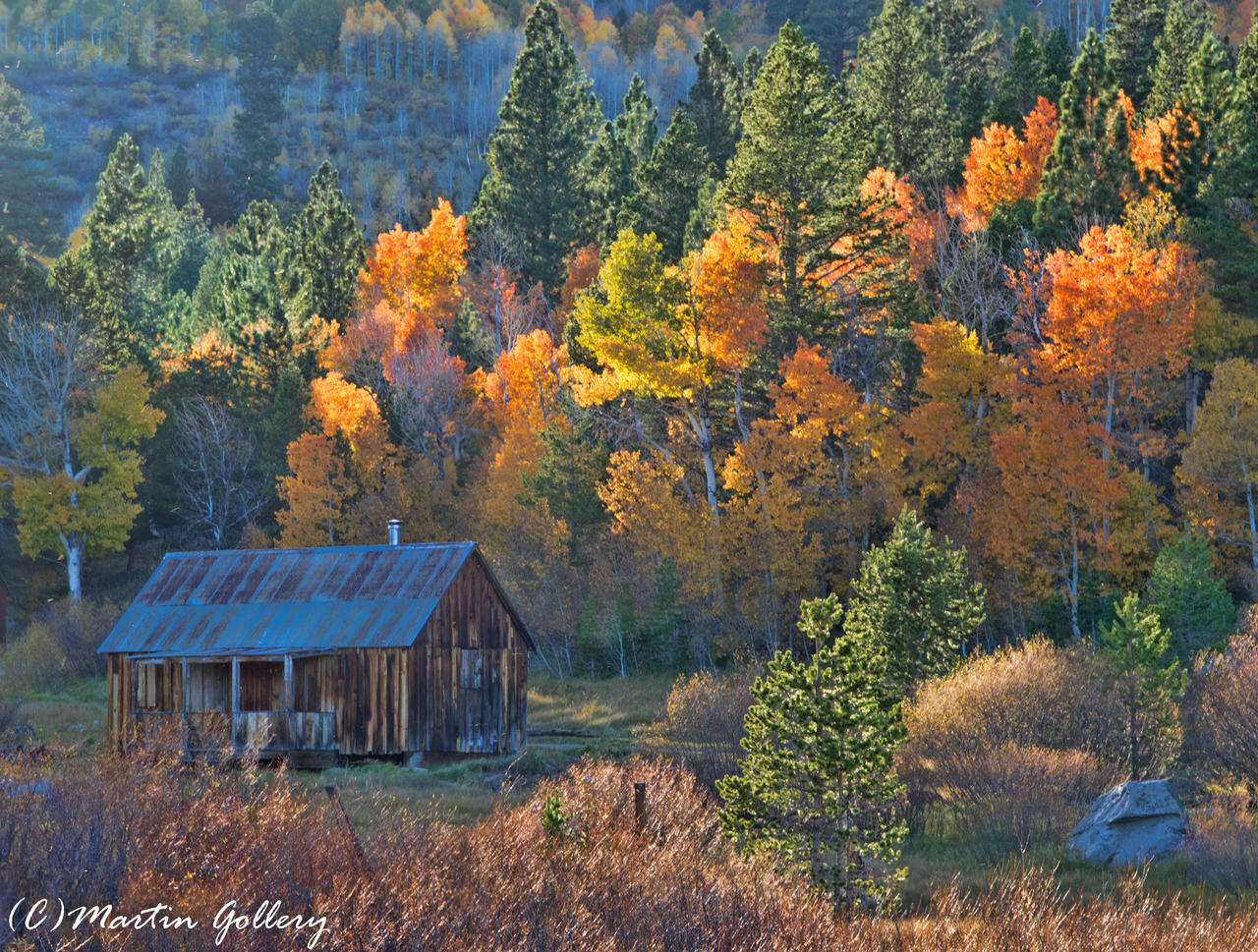 Fall Color 141010-69-Edit