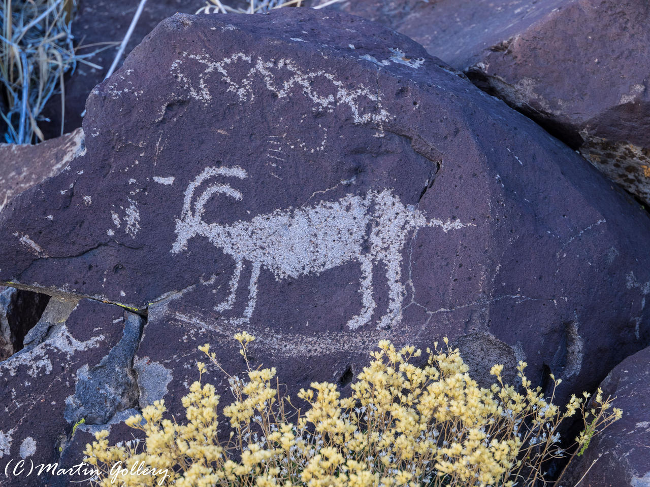 Nevada Petroglyphs150118-16