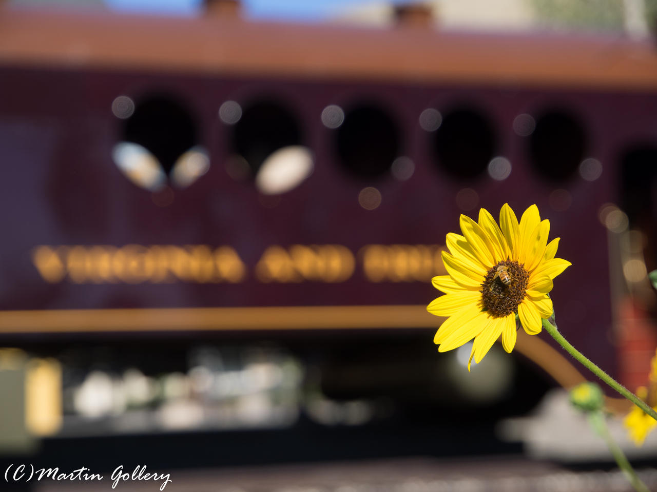 Nevada Train Museum140705-44