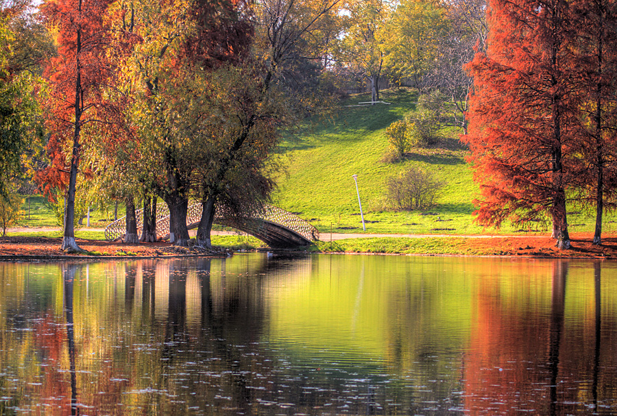 Rusty Autumn morning