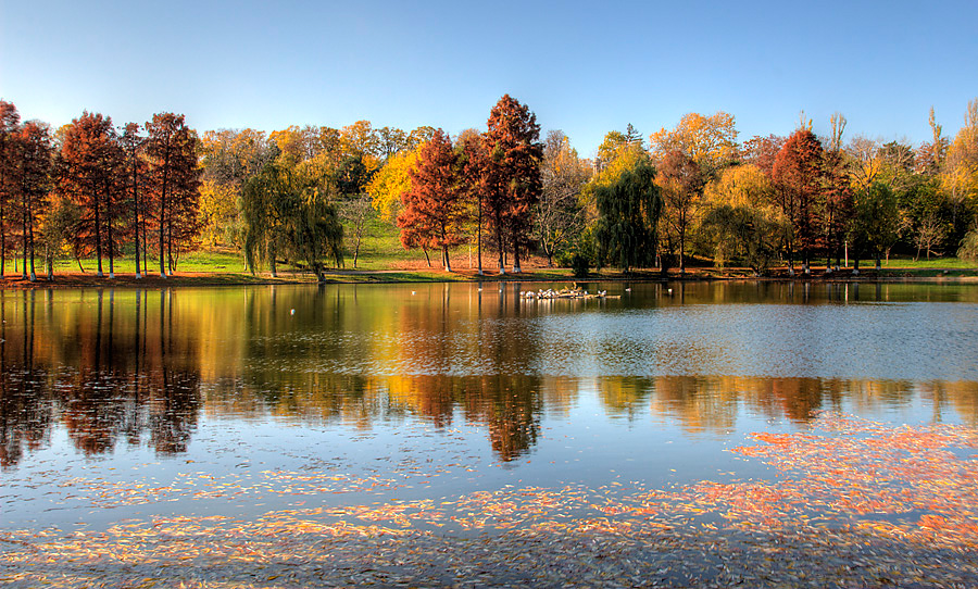 Autumn in tineretului