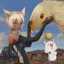 Miqote and Friends