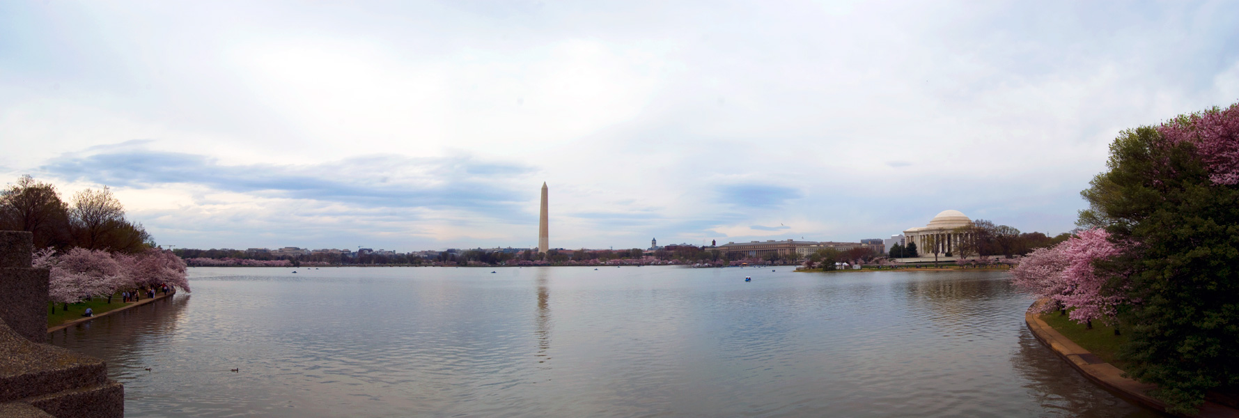 Cherry Blossom Festival