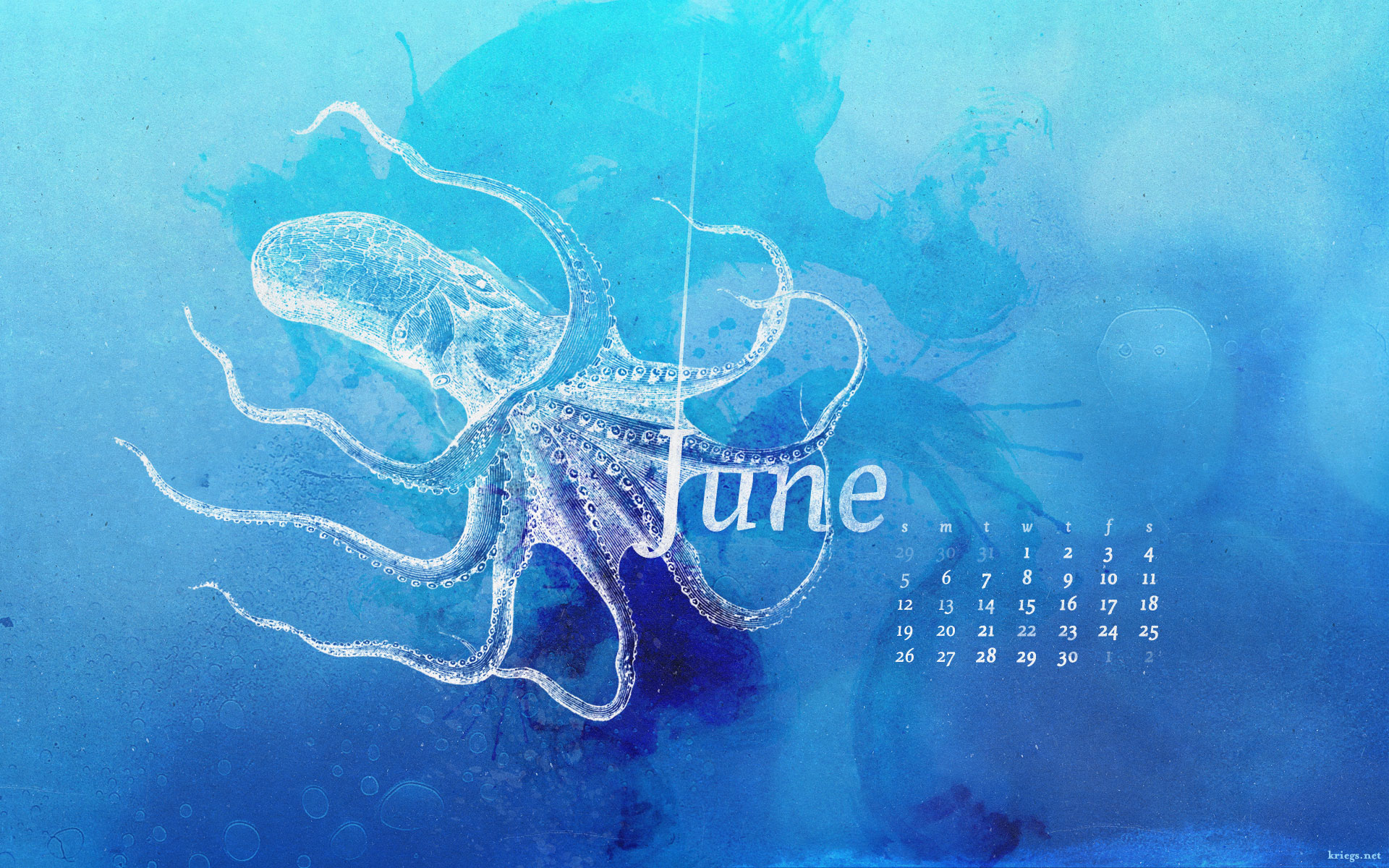 June 2011 Calendar