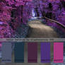 Color Palette by Diaphanerose 008
