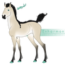 5491 | Foal Design