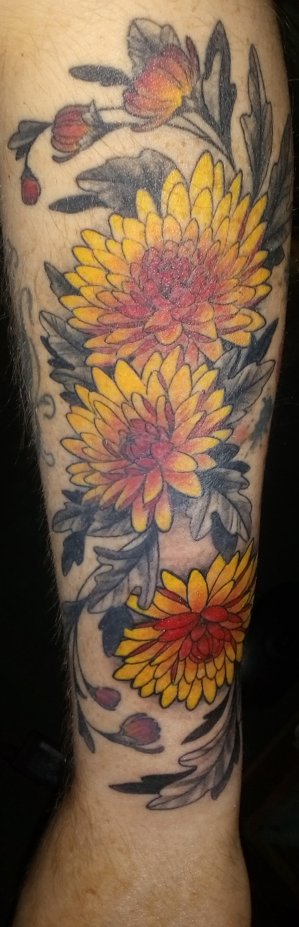Chrysanthemum Tattoo By Koza Kun On