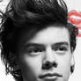 Harry Styles