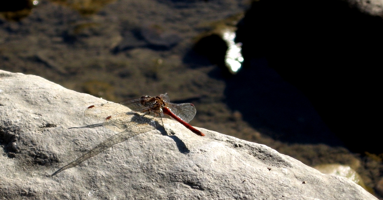 landing pad