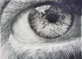 Eye study 1