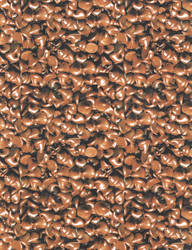 Chocolate Chip Texture