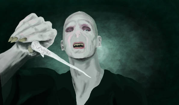 Voldemort revised