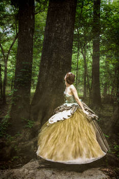 Into the Woods