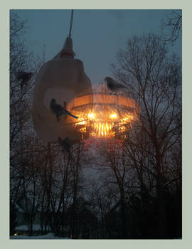 Lighting the Great Outdoors ~ Night Feeder