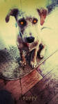 Puppy by richardcgreen Puppy by richardcgreen